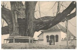 AK Einsiedelei Emaus Linde Bremgarten