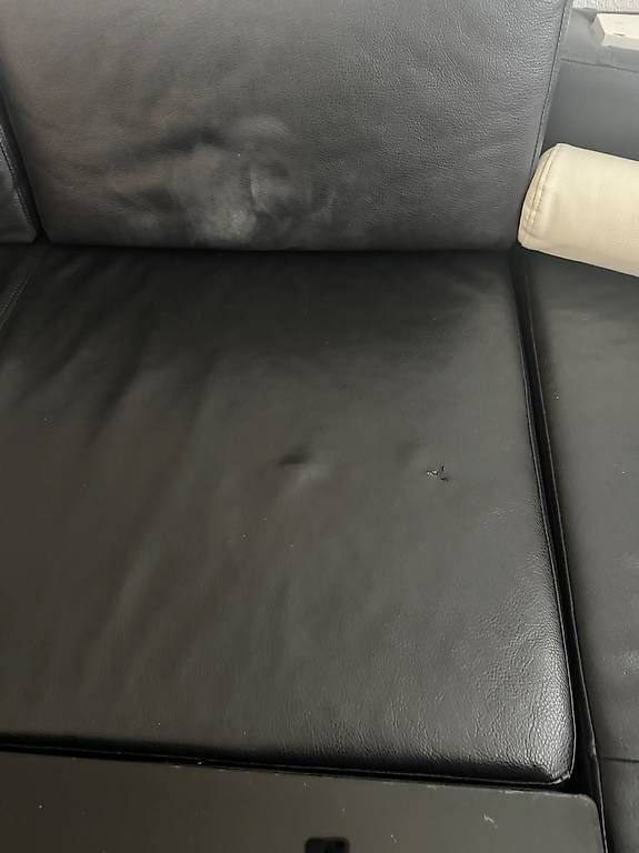 Divani: Wohleweider Möbel Design Sofa – Usato da Egliswil venduto da ShoppingTown 2