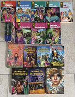 Konvolut Jugendbücher Die drei und weitere Titel 16 Stk