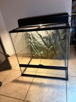 Terrarium Exo Terra 60x45x60