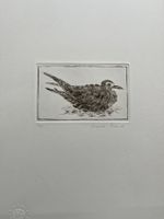 Radierung / Vogel von Verena Frank       (ID B5656)