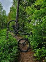 Cheetah MountainSpirit Enduro 27.5 Pinion P1.12
