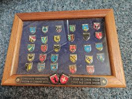 Pin - Glarner Gemeindewappen