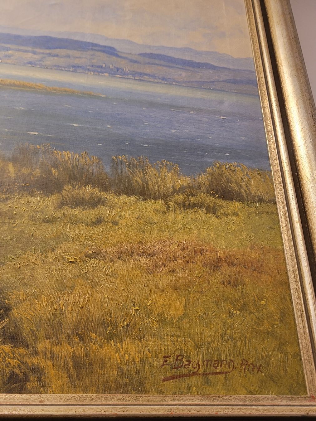 Dipinti: Grossformat, Schweizer Künstler Bachmann Edwin, Zürichsee – Usato da Uesslingen venduto da WHALESTAMPS 2