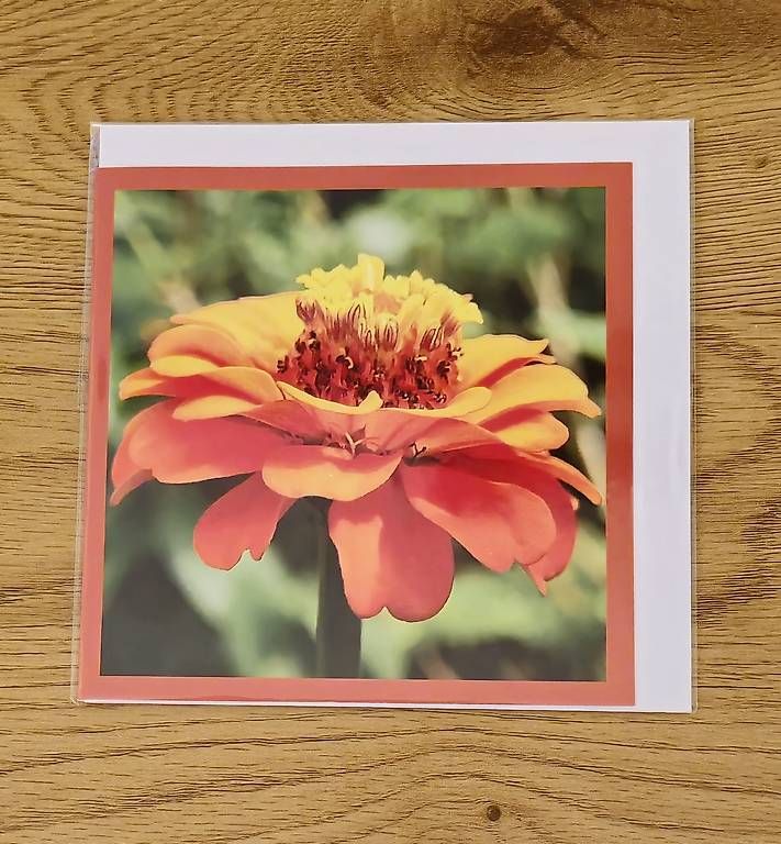 Cartes: Doppel Karte Quadrat NEU – D'occasion à Chur par Frei3912