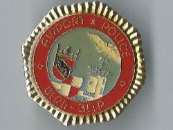 Flughafenpolizei Bern-Belp, Pin