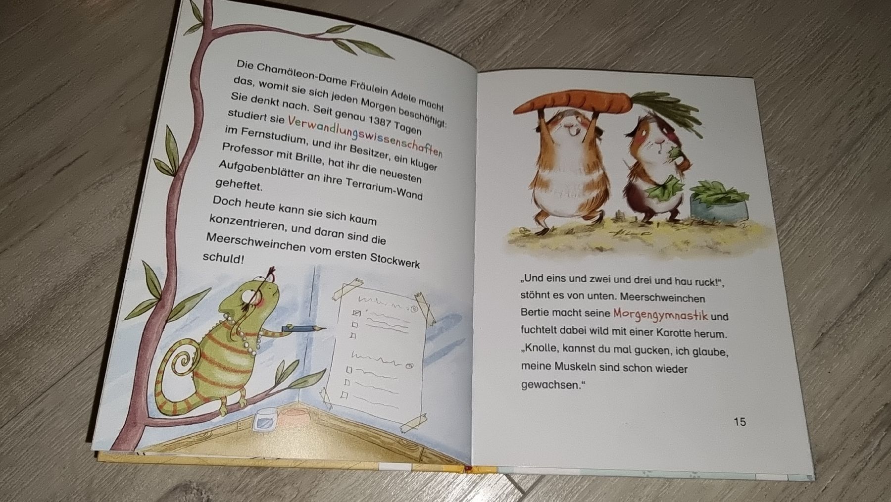 Libri: Die supergeheime pfötchengäng Kinderbuch neuwertig  – Nuovo (secondo la descrizione) da Wigoltingen venduto da Zuckerfee84 2