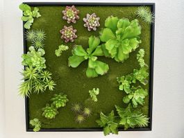 Künstliche Pflanzenwand mit Rahmen 60x60cm