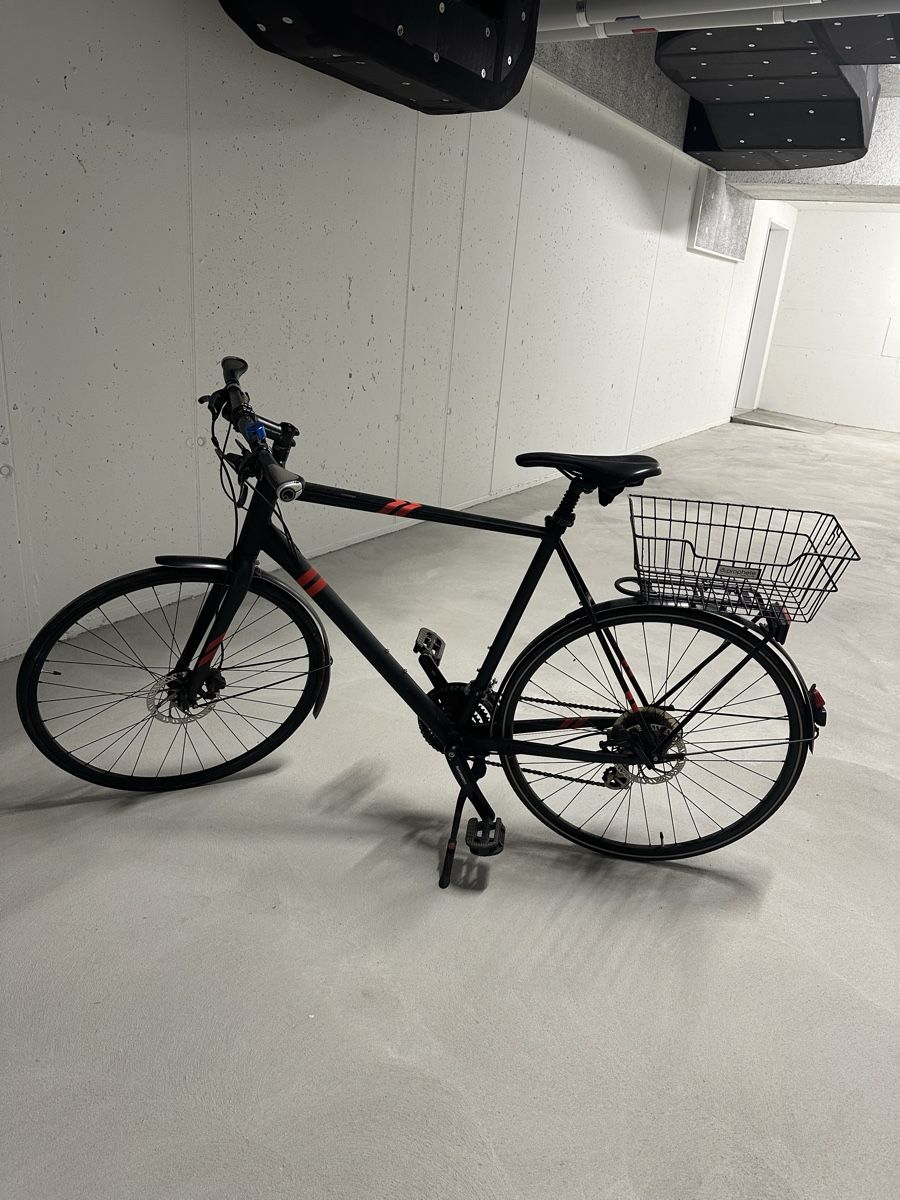Biciclette: Velo Focus Arriba – Usato da Zürich venduto da max_5y6k