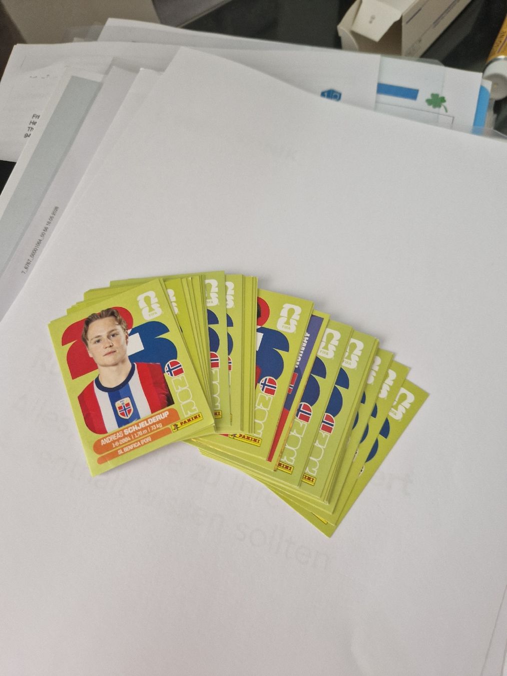 Panini Cartes à collectionner: Panini NOR / Norwegen – Neuf (Voir description) à St. Gallen par TICA84