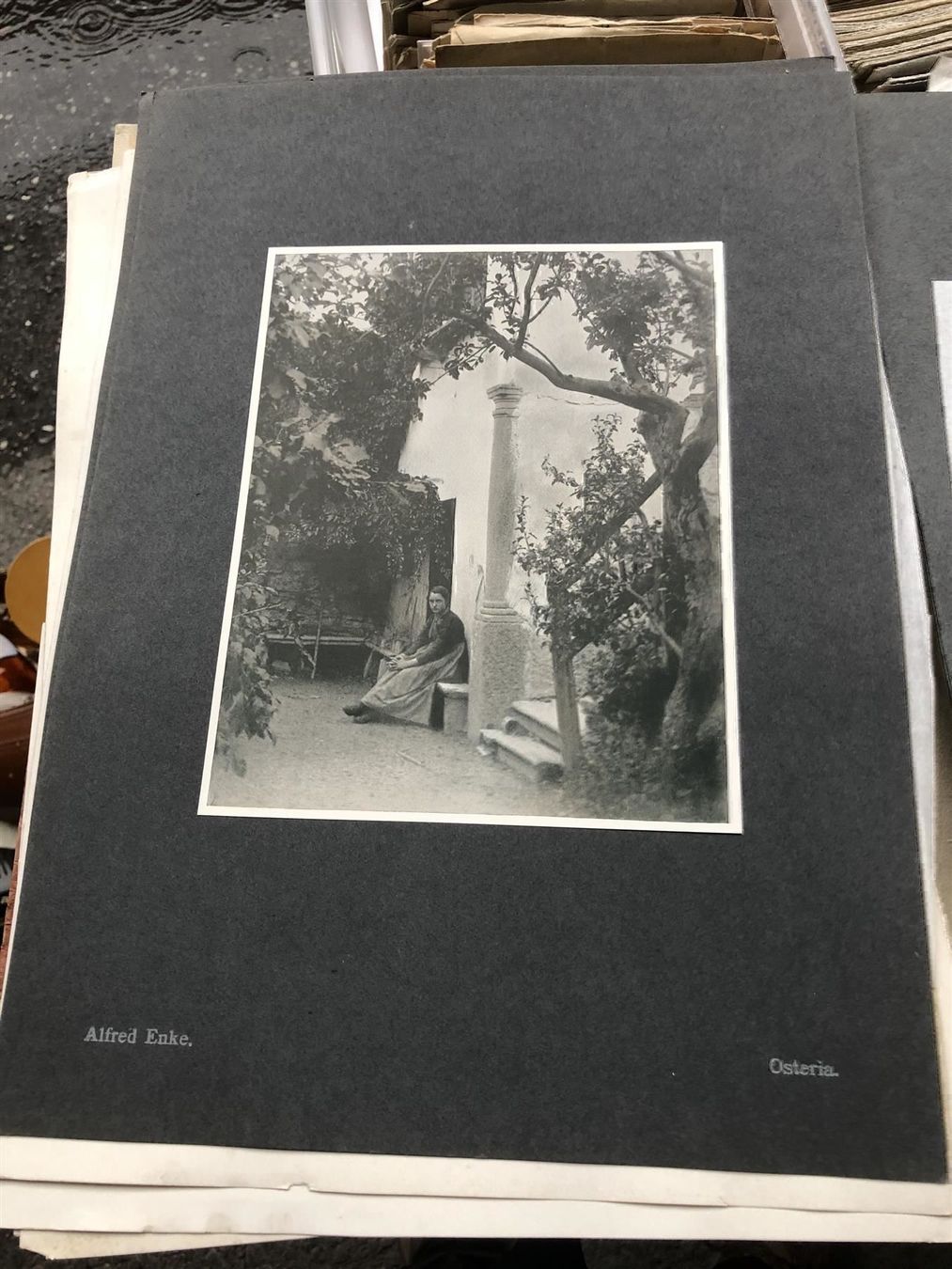 Poster & Bilder: ENKE Alfred 1902 Neue Lichtbild-Studien – Gebraucht aus Bern von Jwpm66 3