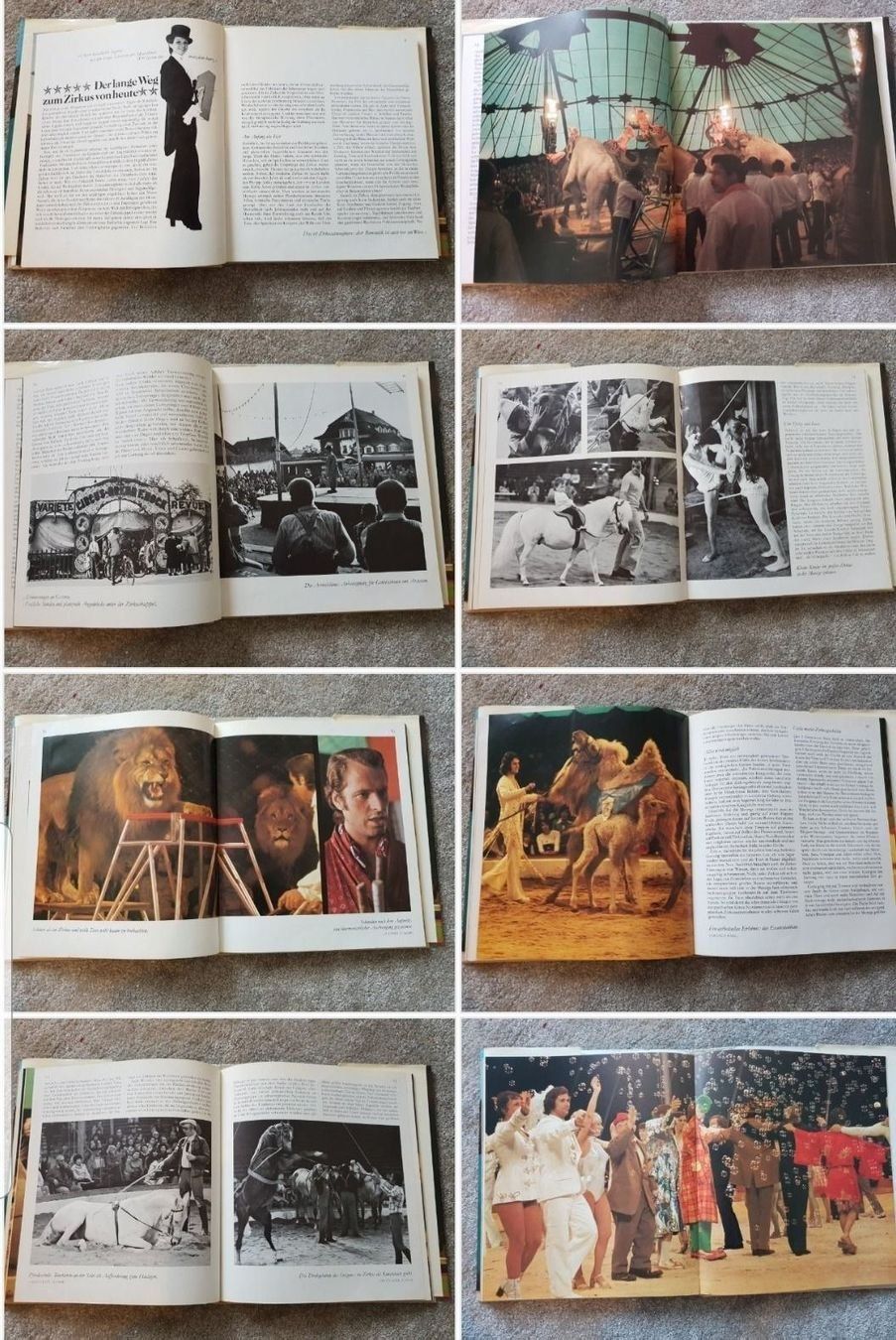Bücher: Der Zirkus - mondo Verlag 1975 – Gebraucht aus Egnach von ASTROFRITZ 2