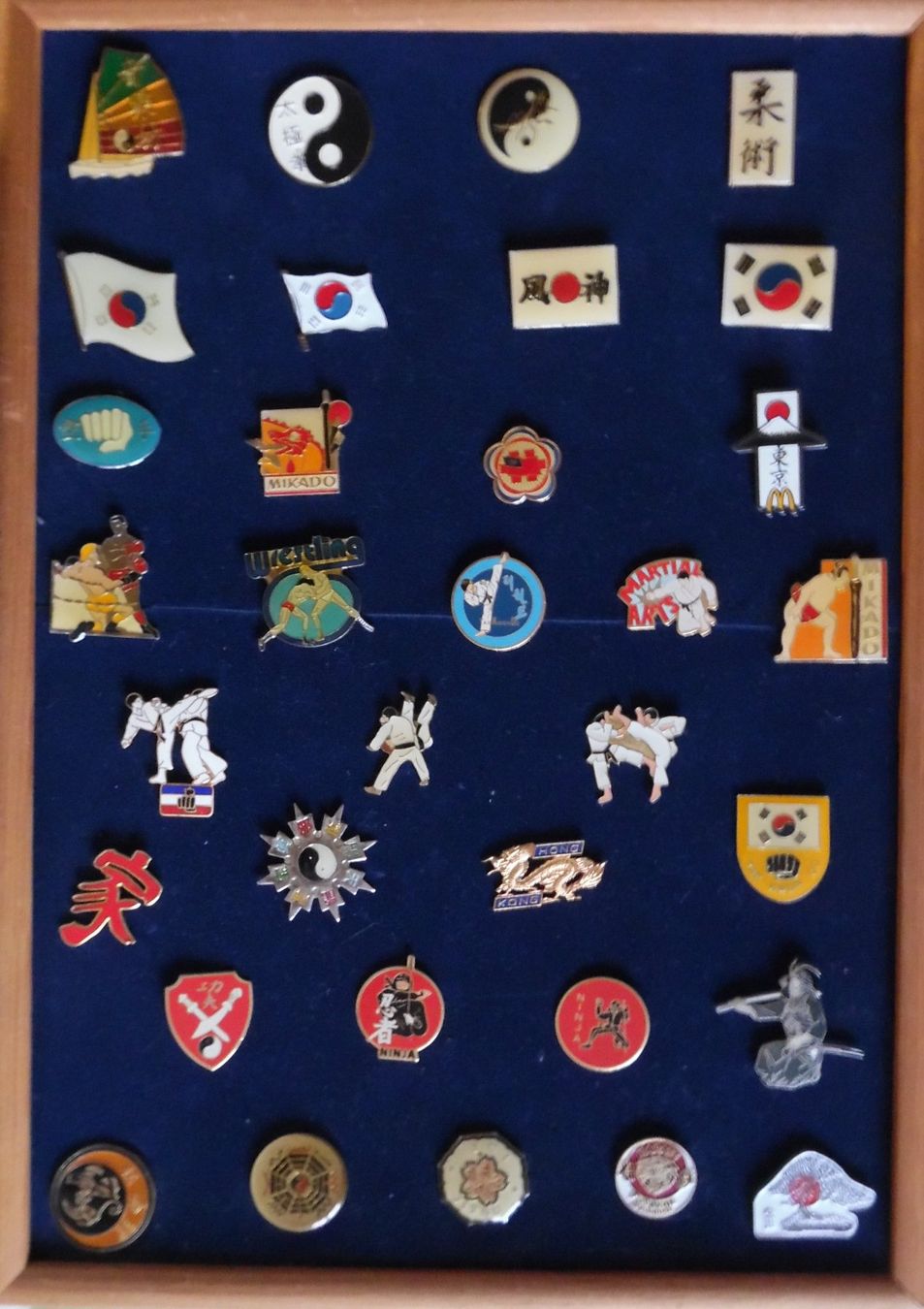 Placchette & Badge: Pin-Sammlung – Usato da Bellinzona venduto da Luna093