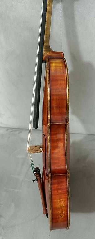 Strumenti musicali: Violine 4/4 – Usato da Luzern venduto da Echo11 2
