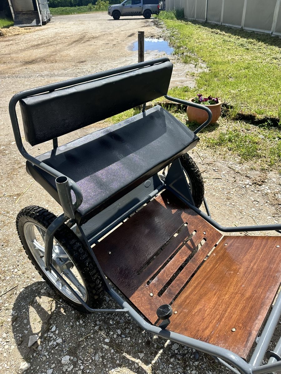 Briglie & Cavezze: Sulky calèche pour poney type shetland – Usato da Plan-les-Ouates venduto da aur_z5pj 3