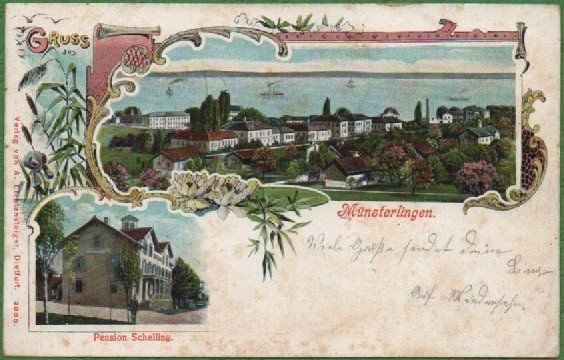Ansichtskarten: Münsterlingen TG Litho – Gebraucht aus Rapperswil SG von INTELVI
