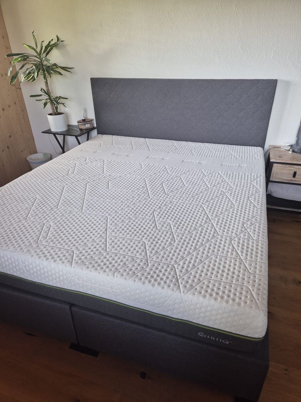 Letti: Polster Bett – Usato da Bassersdorf venduto da DeltaBravo