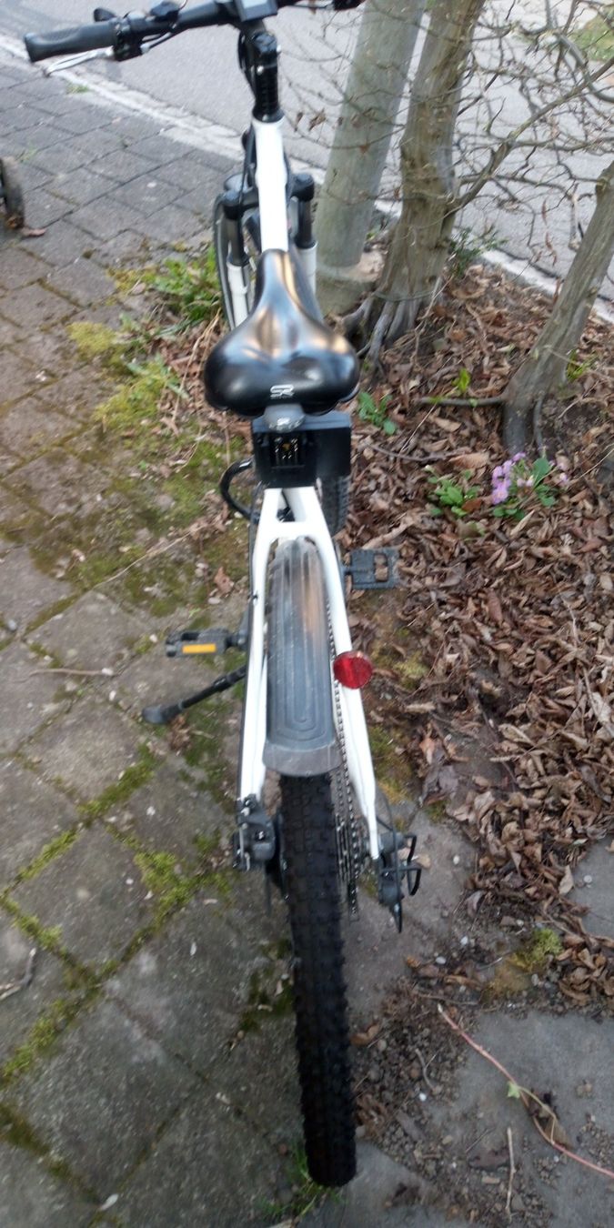 Zenith Bikes Biciclette: E-Bike – Usato da Illnau venduto da Ueli2012 1