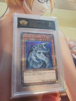 Cyber Dragon SGS 9