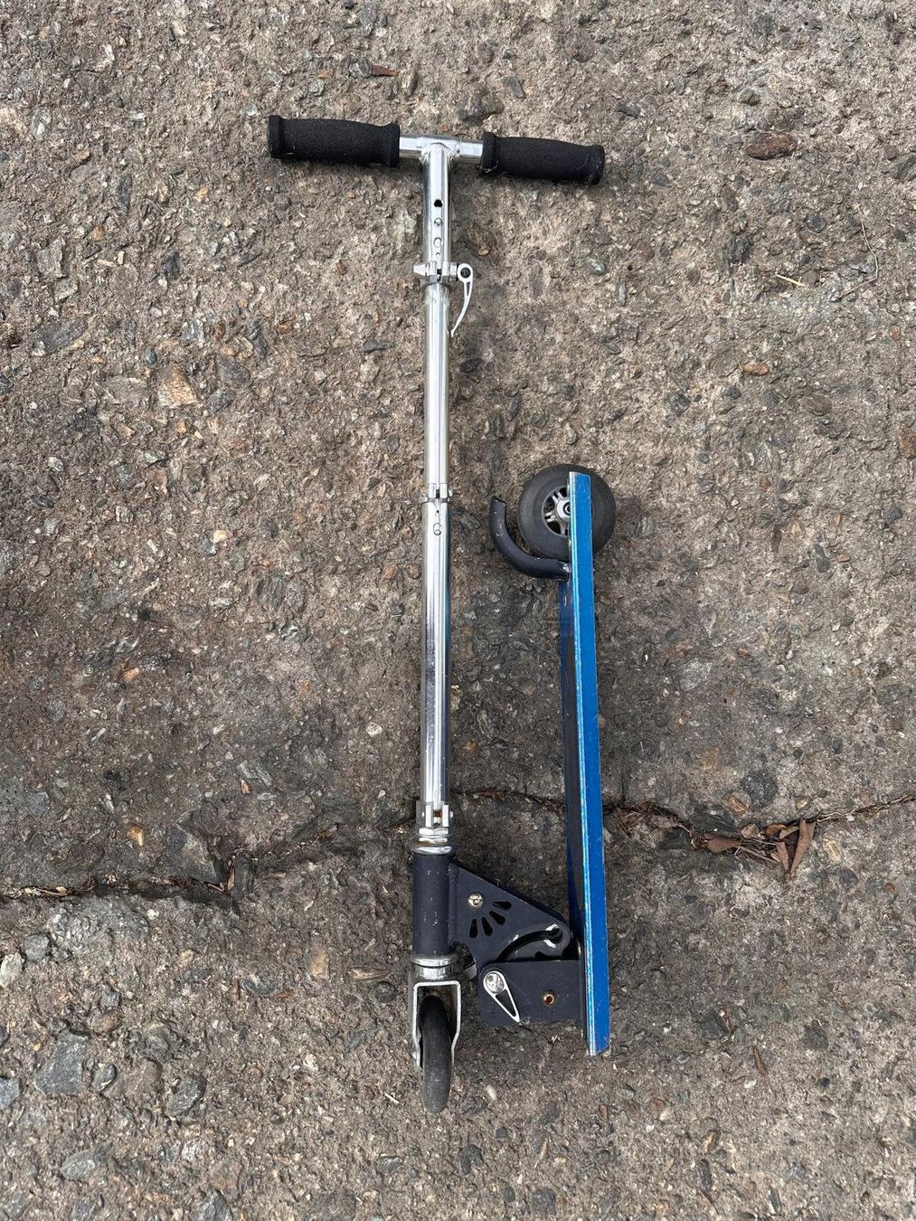 Kickboard: Promate-Roller – Usato da Chiggiogna venduto da albetta55 1