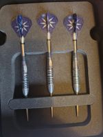 Phil Taylor  Power Gx2 Target Neuwertig 26g