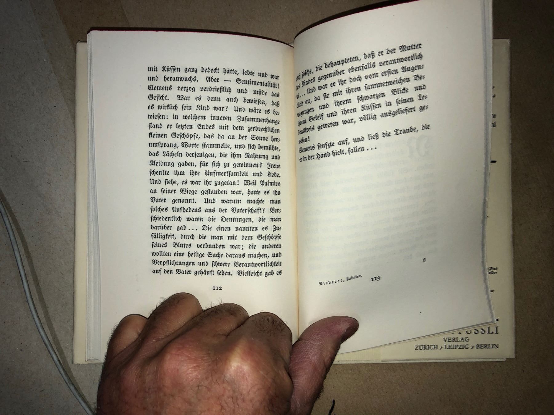 Libri: Gertrud Niederer: Palmiro. Erzählung. – Usato da Zürich venduto da allp 7