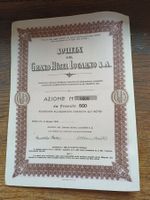 Historisches Wertpapier / Societa Del Grand Hotel Locarno SA