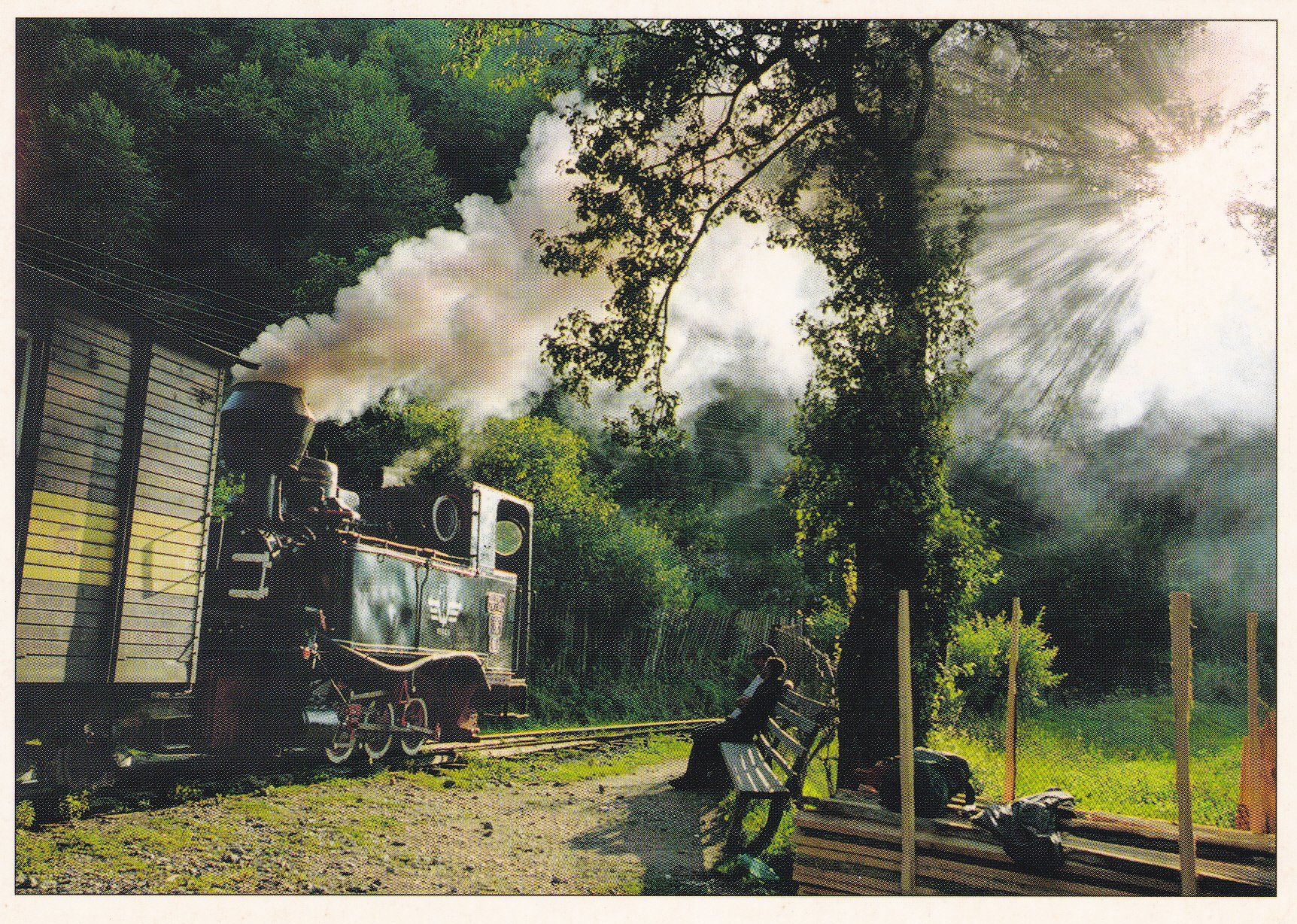 Cartoline postali: Rumänien CFF Viseu de Sus Waldbahn Wassertal – Usato da Luzern venduto da Pinot88