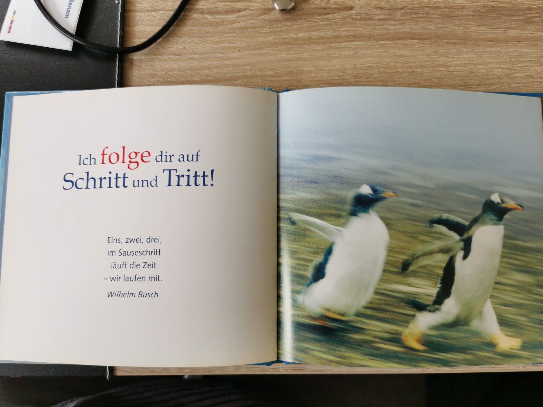 Libri: Buch "Opa, du bist spitze" / Renate Teplan – Usato da Sirnach venduto da pius062 2