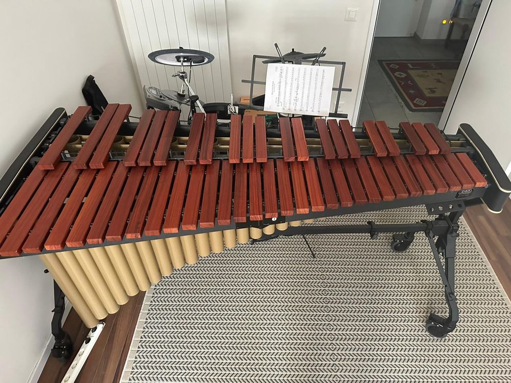 Marimba Adams MSPV 43 Soloist Marimba A=442 Kaufen auf Ricardo