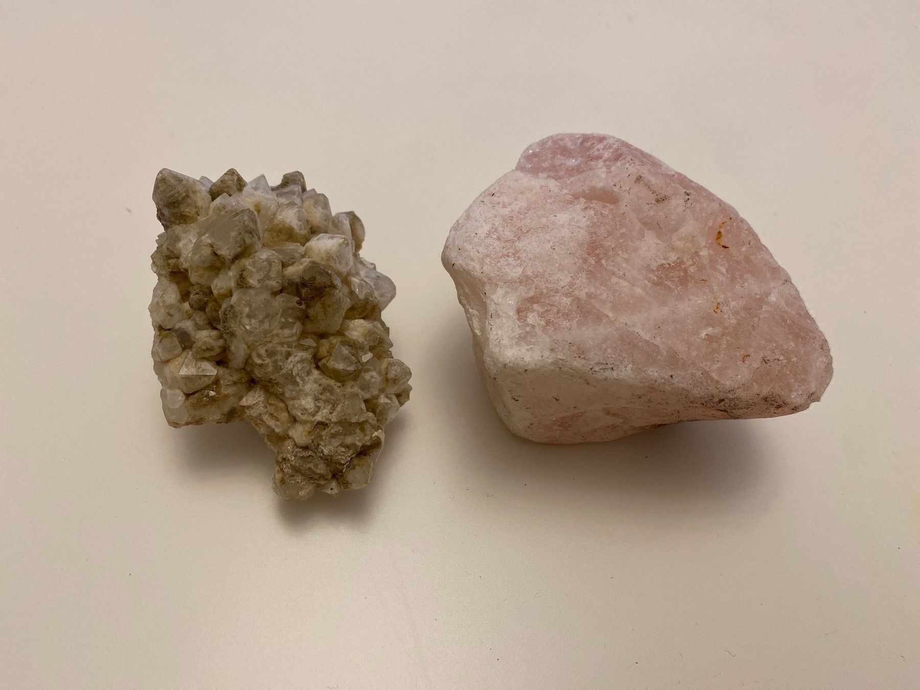 Fossilien: 2 Steine – Gebraucht aus Buchrain von Sisi83