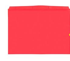 10 Stk. neue Orgatex Sichttaschen, A4 quer, rot