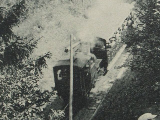 Ansichtskarten: Wengernalpbahn – Neu (gemäss Beschreibung) aus Grenchen von Bluemchen1900