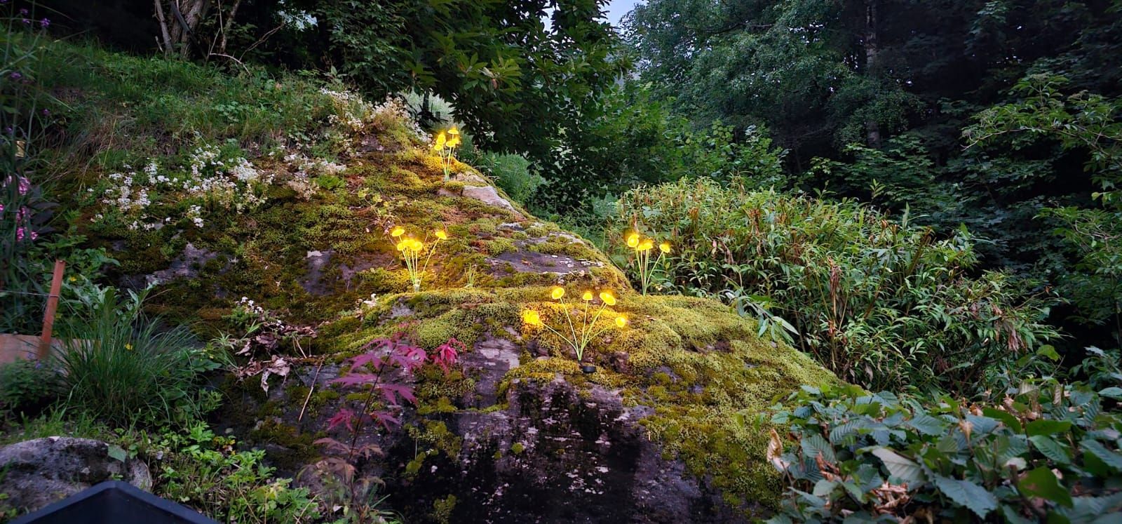 Tutte le decorazioni: Pilzlampe Garten,  LED, Warmweiss – Nuovo e nell'imballaggio originale da Edlibach venduto da frizliana 4