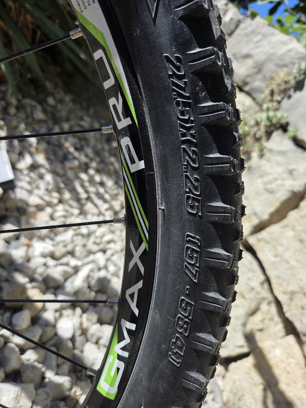 Wheeler Velos: MTB Wheeler Tiger 12 – Gebraucht aus Tenniken von Mrsush 7