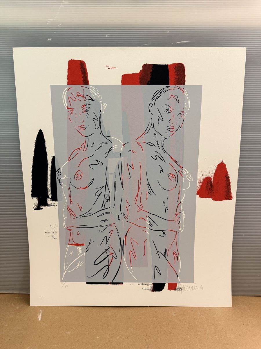 Grafica & Litografie: Seriegraphie, handsigniert – Usato da Solothurn venduto da NUVICO