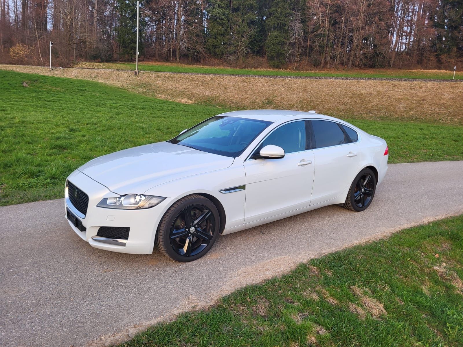 Jaguar Automobili: JAGUAR XF 3.0 – Usato da Wetzikon ZH venduto da sha_96dr 2