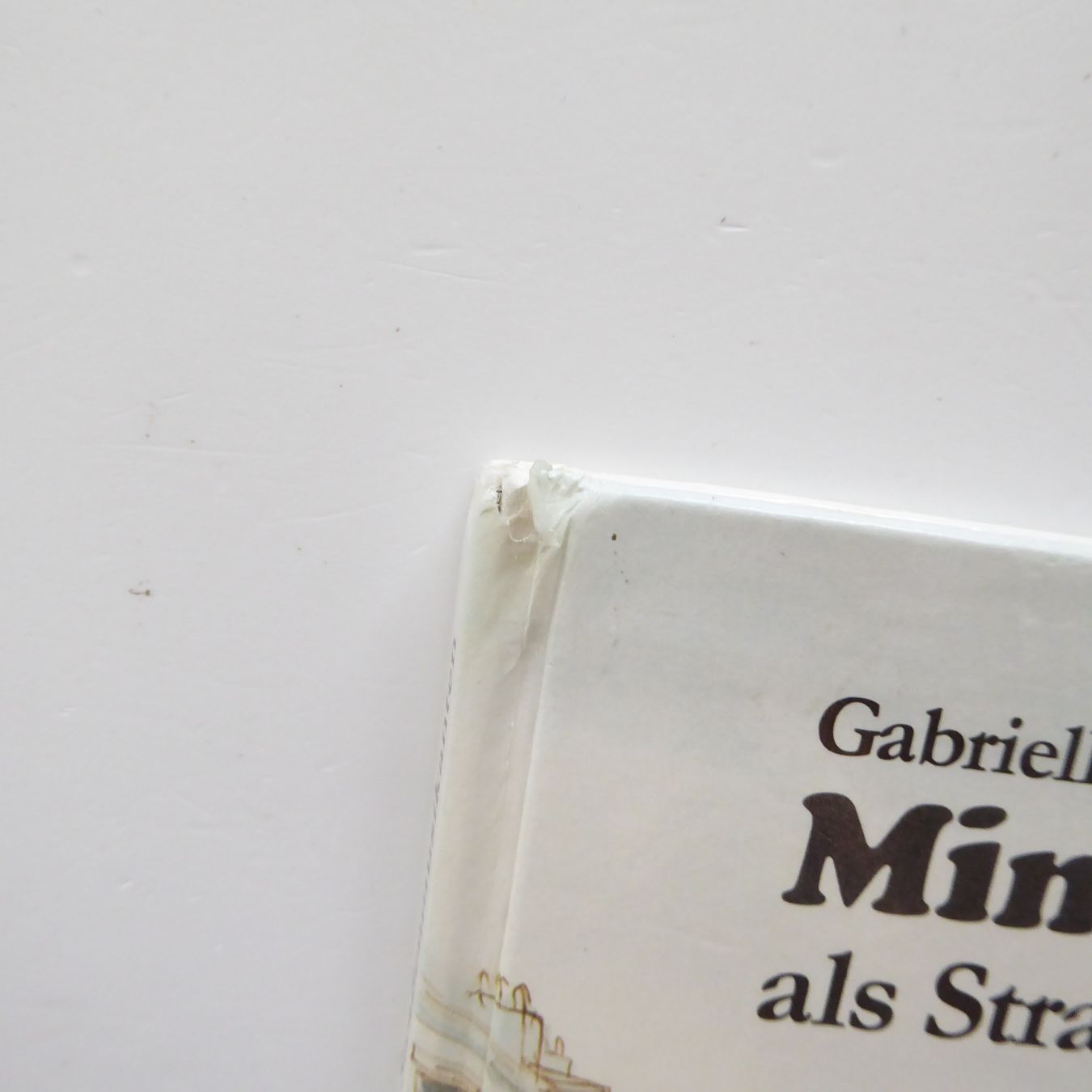 Libri: Mimi und Brumm als Strassenmusikanten – Usato da Basel venduto da Kunterbunt12 3