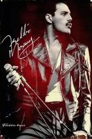 Freddie Mercury Blechschild Metal Rock Band