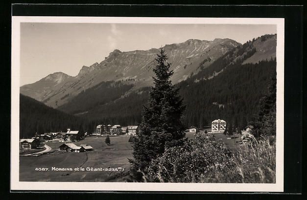 Cartoline postali: AK Morgins, Vue Générale et le Géant – Usato da Berlin venduto da bartko-reher