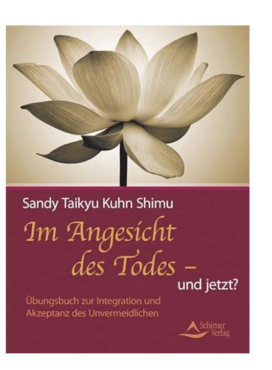 Libri: Im Angesicht des Todes - und jetzt? – Usato da Frauenfeld venduto da SCHATZtruhe_369