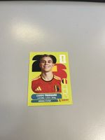 Panini 2026