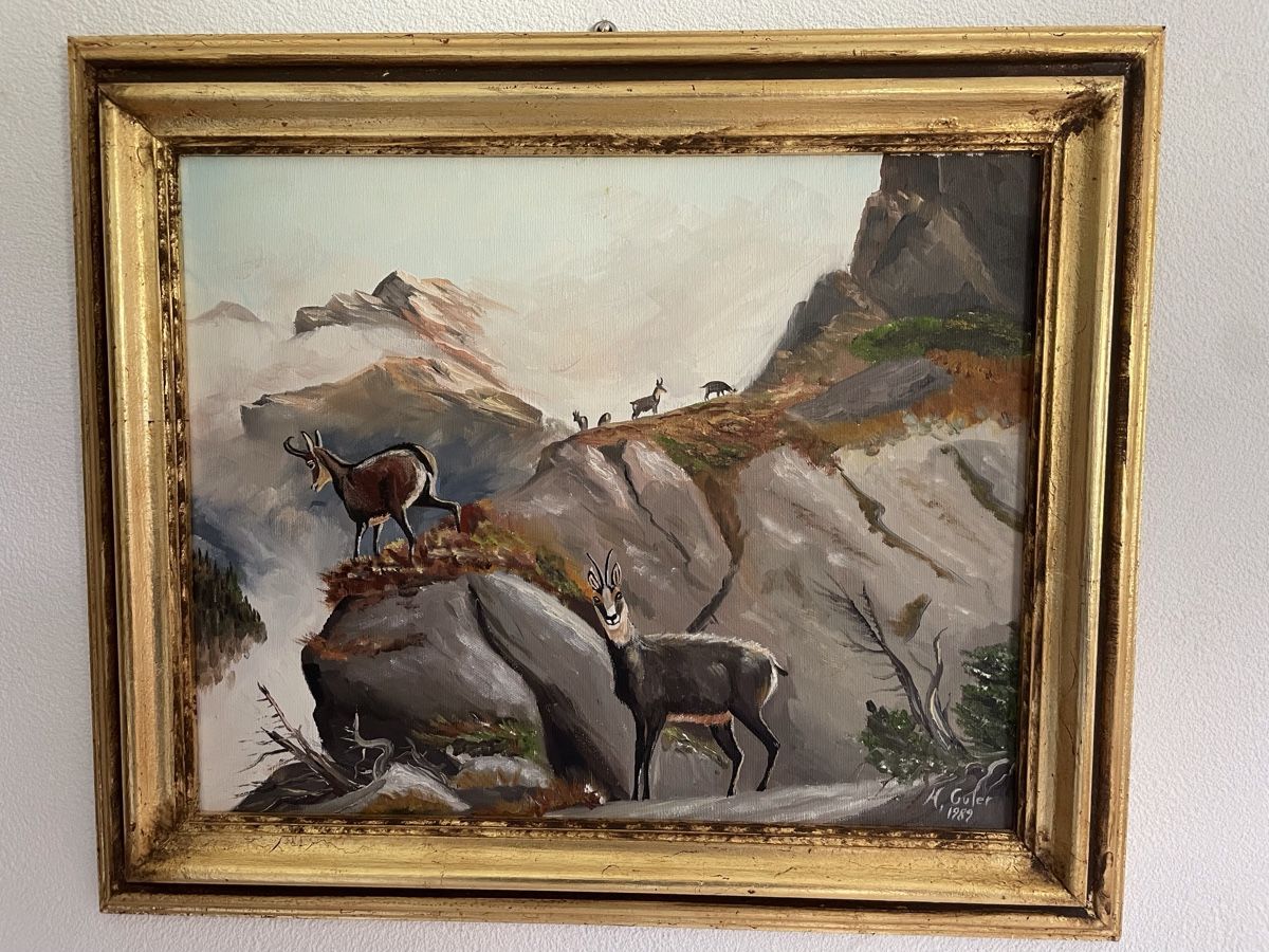 Dipinti: Gamsbild von H. Guler – Usato da Schmitten (Albula) venduto da an.am