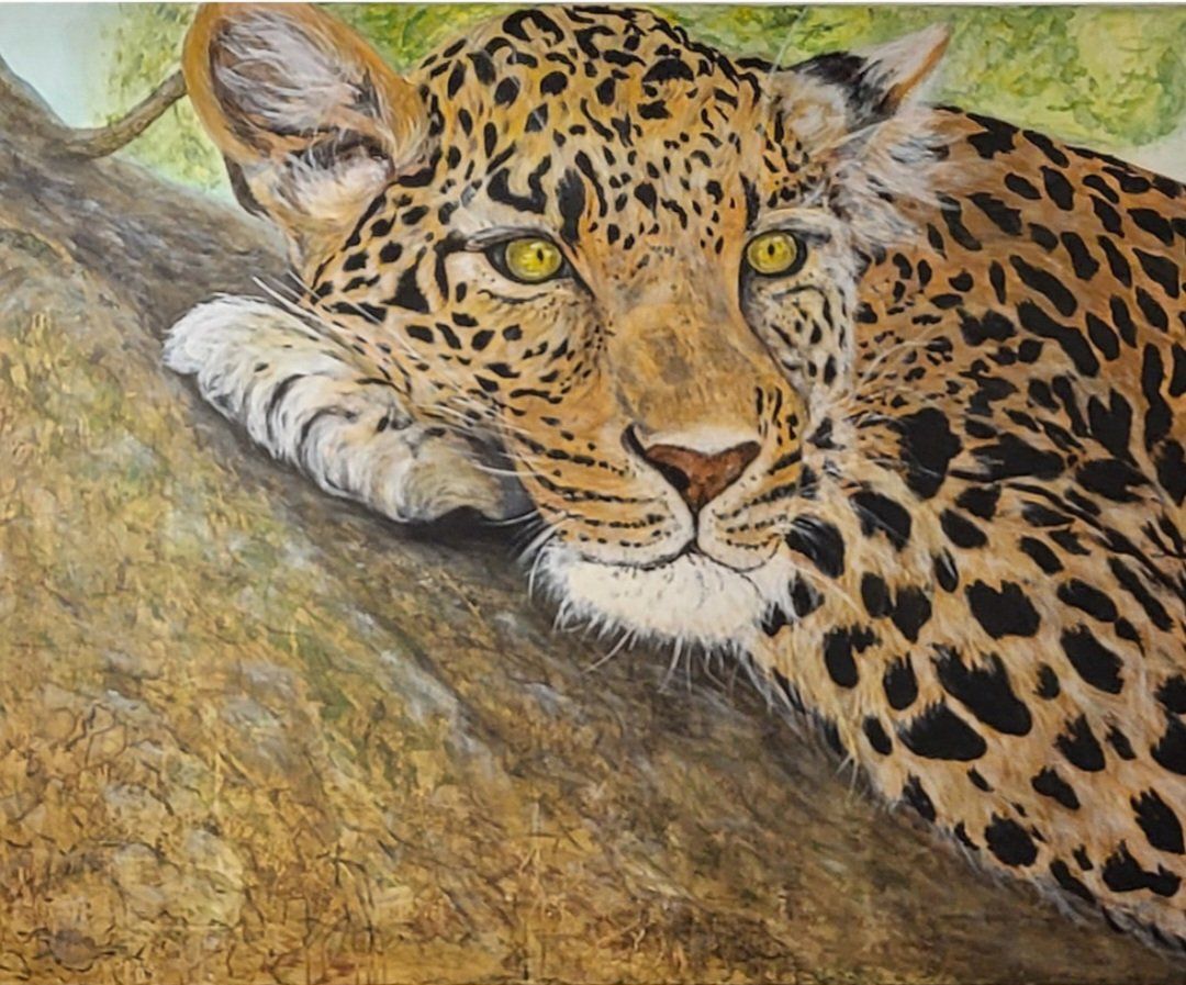 Foto & Immagini: Leopard auf Baum – Nuovo (secondo la descrizione) da Meggen venduto da car_rxl6 1