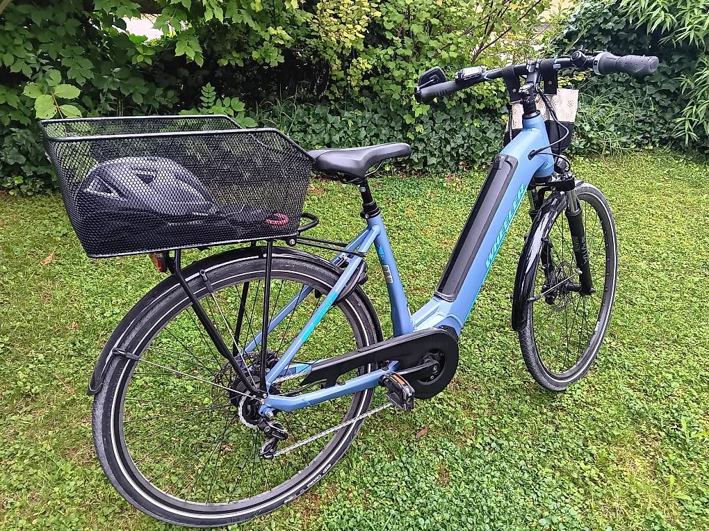 Wheeler Biciclette: E-bike Wheeler 250 W – Usato da Homburg venduto da 731955 1