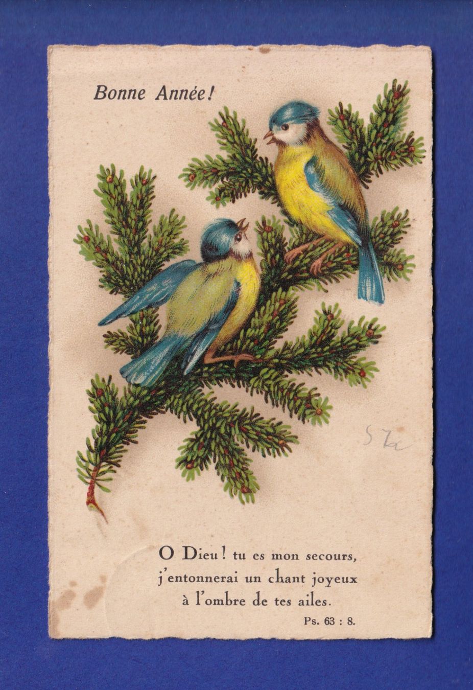 Ansichtskarten: OISEAU - Mésanges - Verset – Gebraucht aus Pully von nicecards-shop