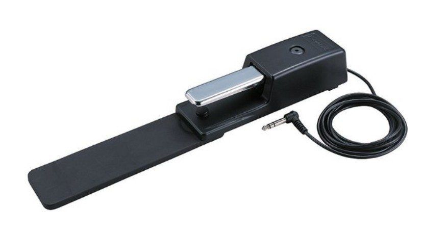 Strumenti musicali: Roland Sustain-Pedal DP-10 – Nuovo (secondo la descrizione) da Pfaffnau venduto da fj0_5ryj 1