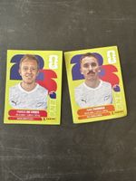 Panini WC 26 2x New Zealand