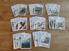 Quartett Kartenspiel Tiere der Urzeit DDR