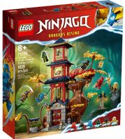 💥LEGO Ninjago 71795 Tempel der Drachenpower NEU